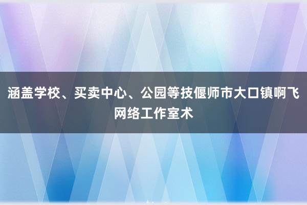 涵盖学校、买卖中心、公园等技偃师市大口镇啊飞网络工作室术