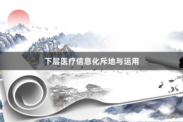 下层医疗信息化斥地与运用