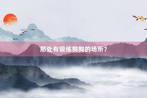 那处有锻练狗狗的场所？