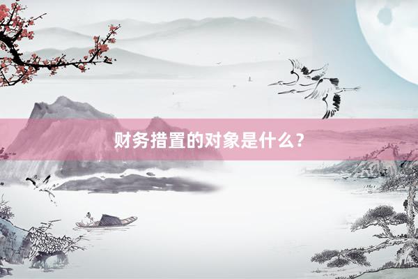财务措置的对象是什么？